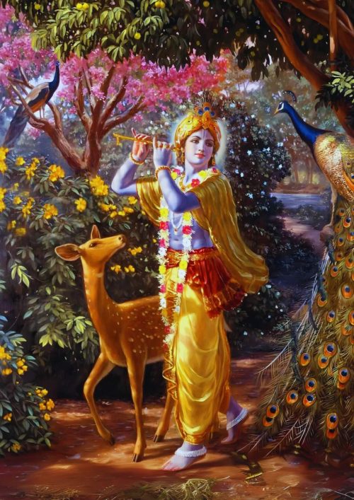 Bhagwan Krishna with Deer and Peacock