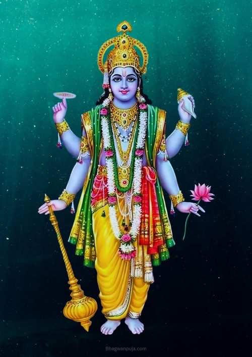 Celestial Majesty of Bhagwan Vishnu